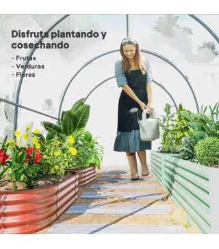 Invernadero de Túnel