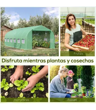 Invernadero de Túnel