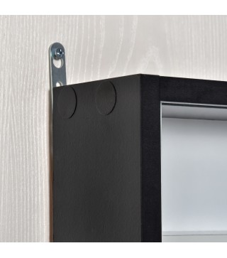 Vitrina de Pared