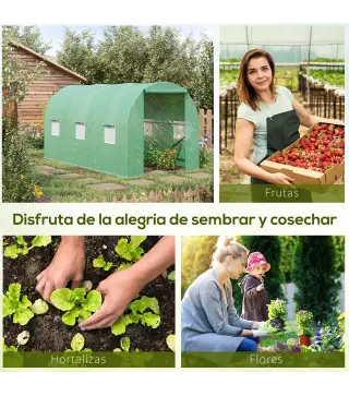 Invernadero de Túnel