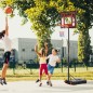 Canasta de Baloncesto Canasta de Baloncesto