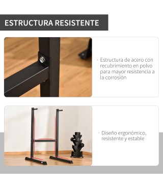 Barras Paralelas de Dominadas
