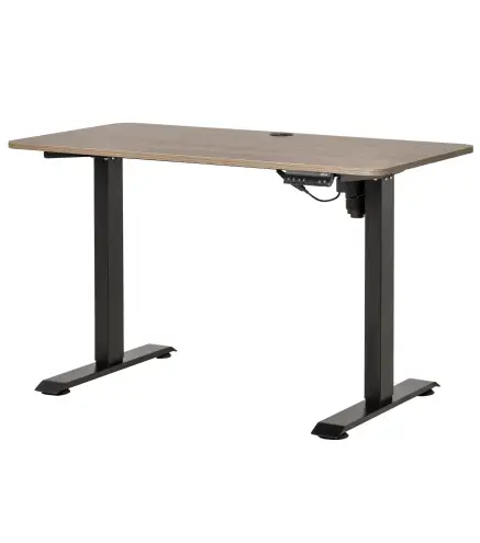 Escritorio Eléctrico de Pie