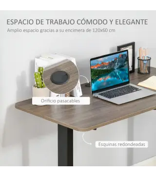 Escritorio Eléctrico de Pie