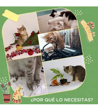 Poste Rascador para Gatos