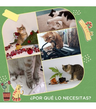 Poste Rascador para Gatos