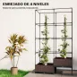 Jardinera con Enrejado Metálico para Plantas Trepadoras 2 Macetas de PP con Orificios de Drenaje 100x50x174 cm Negro