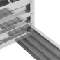 Jardinera Exterior de Acero Galvanizado con Diseño de Escalera Base Abierta para Cultivos Plantas 120x101x58 cm Plata