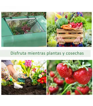 Invernadero Pequeño