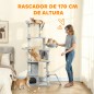 Árbol para Gatos Árbol para Gatos