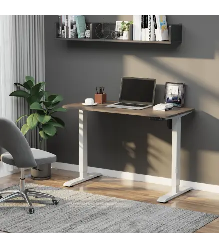 Escritorio Eléctrico de Pie 120x60x72-116 cm Macro de Escritorio de Altura Ajustable con 4 Teclas de Memoria Automática Intelige