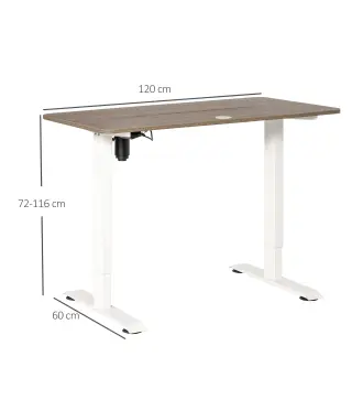 Escritorio Eléctrico de Pie