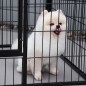 Jaula de Mascotas
