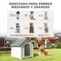 Caseta para Perros Exterior Casa para Perros Grandes de Plástico con 2 Ventanas Base Elevada Estacas Gris