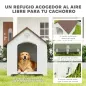 Caseta para Perros Exterior Casa para Perros Grandes de Plástico con 2 Ventanas Base Elevada Estacas Marrón Oscuro