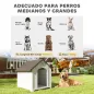 Caseta para Perros Exterior Casa para Perros Grandes de Plástico con 2 Ventanas Base Elevada Estacas Marrón Oscuro