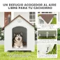Caseta para Perros Exterior Casa para Perros Extragrandes de Plástico con 2 Ventanas Base Elevada Estacas Marrón Oscuro