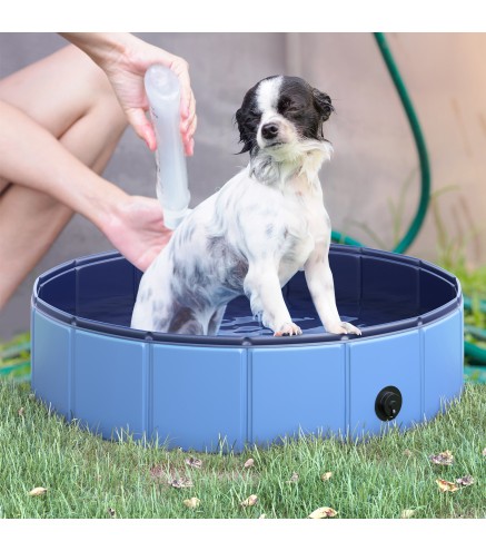 Piscina para Mascotas