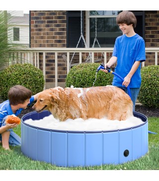 Piscina para Mascotas