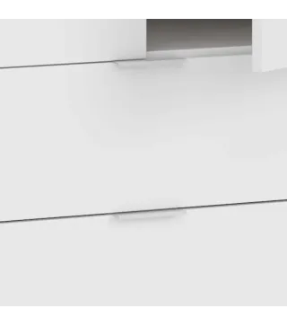 Armario YOUTH 2 Puertas + 2 Cajones ROBLE CANADIAN/BLANCO ARTIK