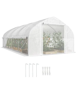 Invernadero de Túnel