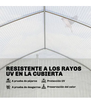 Invernadero de Túnel