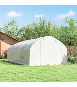 Invernadero de Túnel