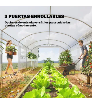 Invernadero de Túnel