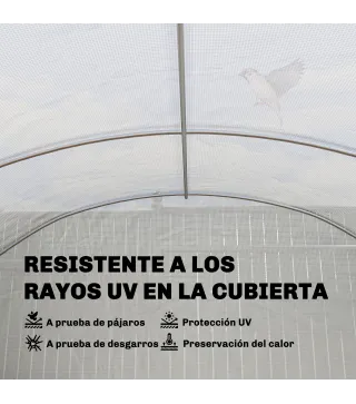 Invernadero de Túnel