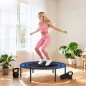 Trampolín de Fitness Trampolín de Fitness