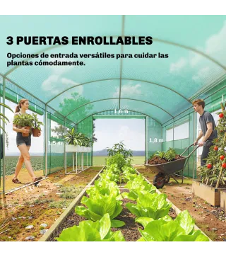 Invernadero de Túnel