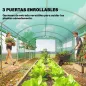 Invernadero de Túnel 6x3x2 m con 3 Puertas Enrollables 6 Ventanas de Malla y Estructura de Acero Galvanizado Verde