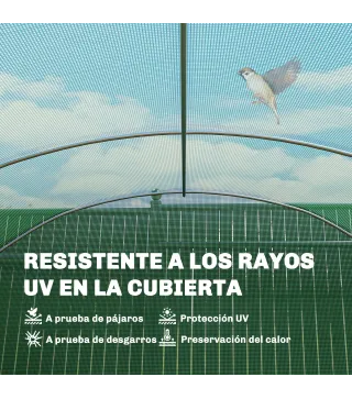 Invernadero de Túnel