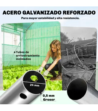 Invernadero de Túnel