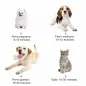 Secador de Pelo para Perros 2800W Secador para Mascotas con Temperatura y Velocidad del Viento Ajustable 3 Boquillas Tubo Flexib Secador de Pelo para Perros 2800W Secador para Mascotas con Temperatura y Velocidad del Viento Ajustable 3 Boquillas Tubo Flexib