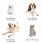 Secador Pelo Potencia para Mascotas Secador Pelo Potencia para Mascotas