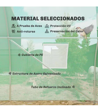 Invernadero de Túnel