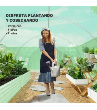 Invernadero de Túnel