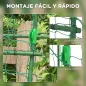 Enrejado de Pepino 206 cm Enrejado de Jardín de Arco para Plantas Trepadoras al Aire Libre con Marco de Acero Verde
