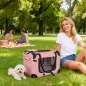 Transportín para Perros Plegable 60x41,5x41 cm con Ventanas de Malla Cojín Suave y 2 Asas para Mini Perros y Gatos Rosa