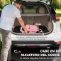 Transportín para Perros Plegable 60x41,5x41 cm con Ventanas de Malla Cojín Suave y 2 Asas para Mini Perros y Gatos Rosa