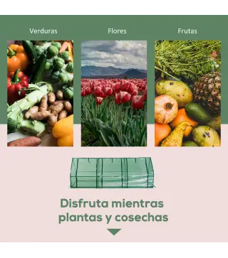 Invernadero de Jardín