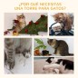 Árbol para Gatos Árbol para Gatos