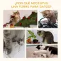 Árbol Rascador para Gatos Pequeños Altura 46 cm de 2 Niveles Árbol para Gatos con Poste Tablero para Rascar Plataformas y Juguet