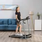 Cinta de Correr Plegable Cinta de Andar Eléctrica Velocidad de 1-10km/h con Pantalla LCD 125x61x118 cm Negro y Gris