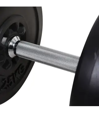 Juego de Pesas con Mancuernas