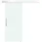 Puerta Corredera de Cristal 90x205 cm Puerta Corrediza Deslizante con Riel de Cristal de Seguridad Translúcido