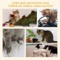 Árbol para Gatos Árbol para Gatos