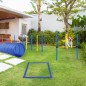 Agilidad para Perros Agilidad para Perros
