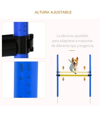 Agilidad para Perros